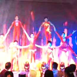 ħg(sh)(jng)o˾,s(jng)o˾