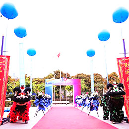 wYxӲ߄,wcxʽY,cӲ߄,V,S