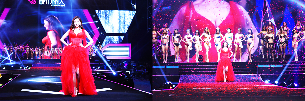 Vݰl(f)ӹ˾ṩĶ2016rʢ䰸p4